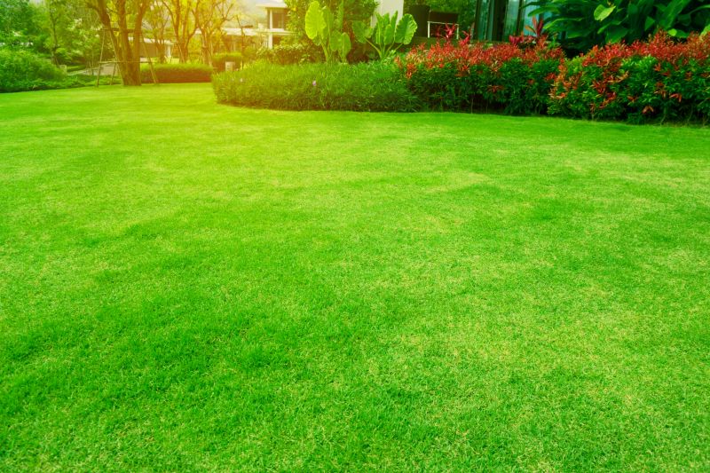 Lawn Size and Complexity