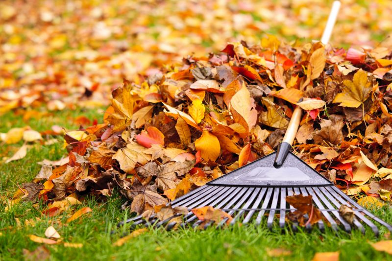Autumn Lawn Preparation